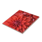 Mooie rode dahlia bloemen tegeltje (Zijkant)