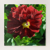 Mooie rode dahlia legpuzzel (Horizontaal)