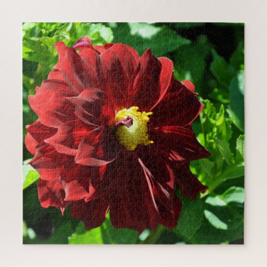 Mooie rode dahlia legpuzzel (Verticaal)