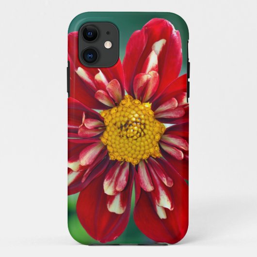Mooie rode dahlia-printtelefoon Case-Mate iPhone case (Achterkant)