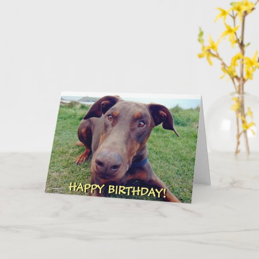 Mooie rode doberman verjaardagskaart kaart (Gele Bloem)