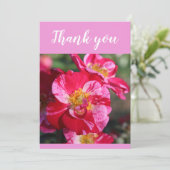 Mooie rode en roze aangebrachte Roos ventilator Bedankkaart (Staand voorkant)