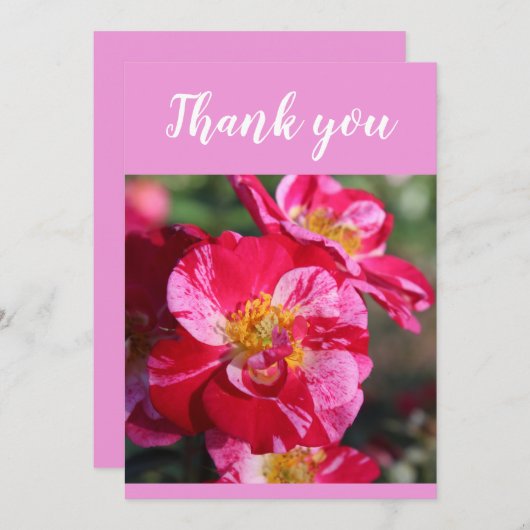 Mooie rode en roze aangebrachte Roos ventilator Bedankkaart (Voorkant / Achterkant)