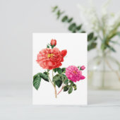 mooie  rode en roze roze roze bloemen briefkaart (Staand voorkant)