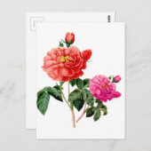 mooie  rode en roze roze roze bloemen briefkaart (Voorkant / Achterkant)