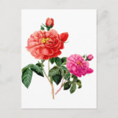 mooie  rode en roze roze roze bloemen briefkaart (Voorkant)