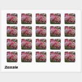Mooie rode en witte rimpelrozen vierkante sticker (Vel)