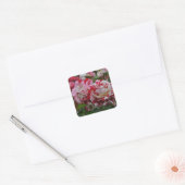 Mooie rode en witte rimpelrozen vierkante sticker (Envelop)