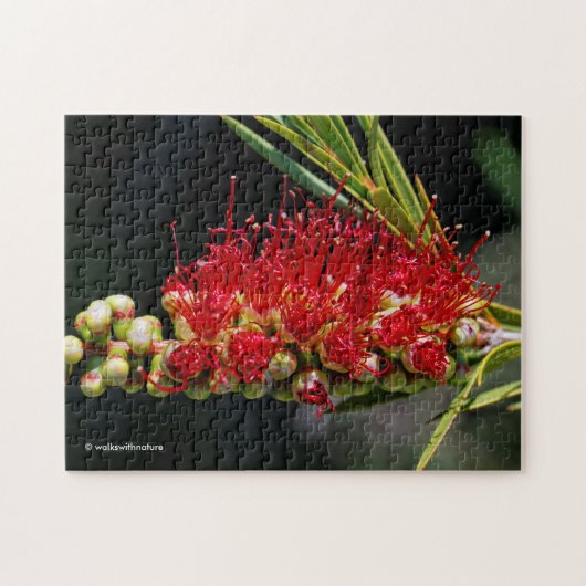 Mooie Rode Flessenborstel Bloemen Legpuzzel (Horizontaal)