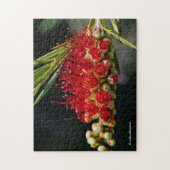 Mooie rode flessenborstelbloemen legpuzzel (Verticaal)