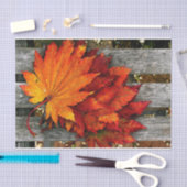 Mooie rode Herfst bladeren op Wooden Fence Tissuepapier (Craft)