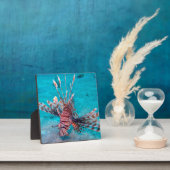 Mooie rode hond vis fotoplaat (Insitu)