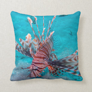 Mooie rode hond vis kussen