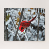 Mooie rode kardinaal in de sneeuw legpuzzel (Horizontaal)