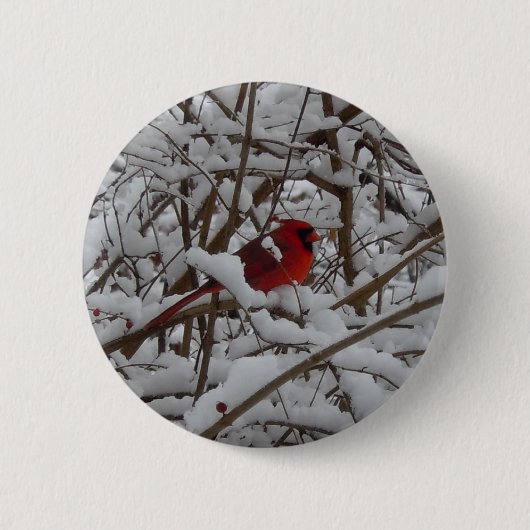Mooie rode kardinaal in sneeuwvullende Button (Voorkant)