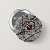 Mooie rode kardinaal in sneeuwvullende Button (Voorkant /achterkant)