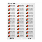 Mooie Rode Kardinaal Persoonlijke Postlabels Etiket (Full Sheet)