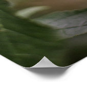 Mooie rode kardinale vogel in de boom poster (Hoek)