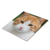 Mooie rode kat tegeltje (Zijkant)