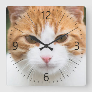 Mooie rode kat vierkante klok
