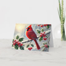 Mooie Rode Kerst Kardinaal