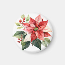 Mooie rode kerst poinsettia