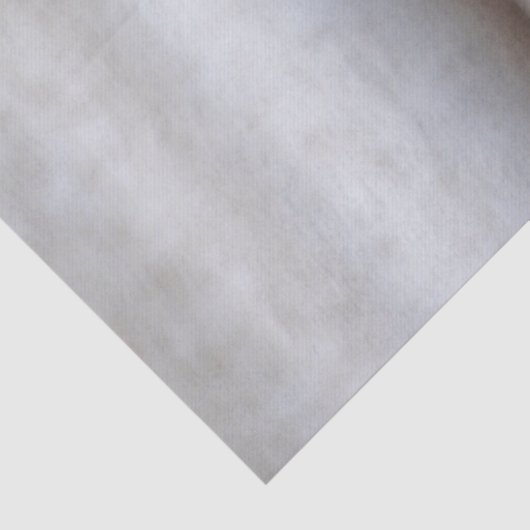 Mooie rode leeuw Amaryllis bloem foto Tissuepapier (Detail)