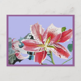 Mooie Rode Lelie Waterverf Lilac Verjaardagsansich Briefkaart