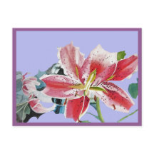Mooie Rode Lelie Waterverf Lilac Verjaardagsansich