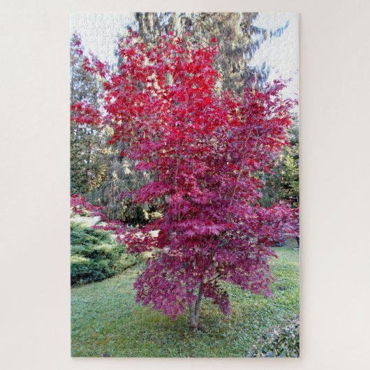 Mooie Rode Maple-boom Legpuzzel (Verticaal)