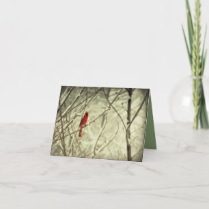 Mooie Rode Noordelijke HoofdVogel Kaart