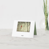 Mooie Rode Noordelijke HoofdVogel Kaart (Achterkant)