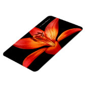 Mooie Rode Oranje Asiatische Lily Gran Paradiso Magneet (Linkerzijde)