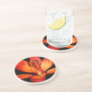 Mooie Rode Oranje Asiatische Lily Gran Paradiso Zandsteen Onderzetter