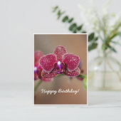 Mooie rode orchidee briefkaart (Staand voorkant)