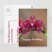 Mooie rode orchidee briefkaart (Voorkant / Achterkant)