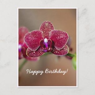 Mooie rode orchidee briefkaart