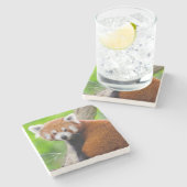 Mooie Rode Panda (Ailurus fulgens) Stenen Onderzetter (Zijkant)