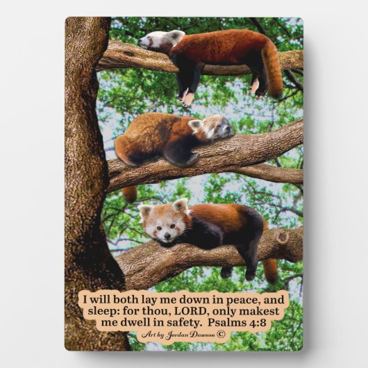 Mooie rode Panda Schrift Psalmen 4:8 Fotoplaat (voorkant)