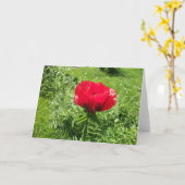Mooie rode papaver kaart (Gele Bloem)