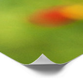 Mooie rode papaverventilator poster (Hoek)