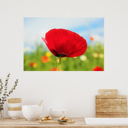 Mooie rode papaverventilator poster (Keuken)