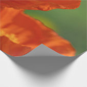 Mooie rode papavery cadeaupapier (Hoek)