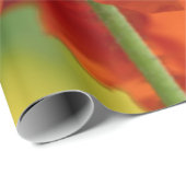 Mooie rode papavery cadeaupapier (Rol Hoek)