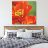 Mooie rode papavery canvas afdruk (Insitu (Slaapkamer))