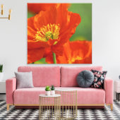 Mooie rode papavery canvas afdruk (Insitu (Woonkamer))