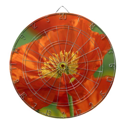 Mooie rode papavery dartbord (Voorkant)