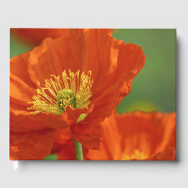 Mooie rode papavery gastenboek