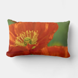 Mooie rode papavery kussen
