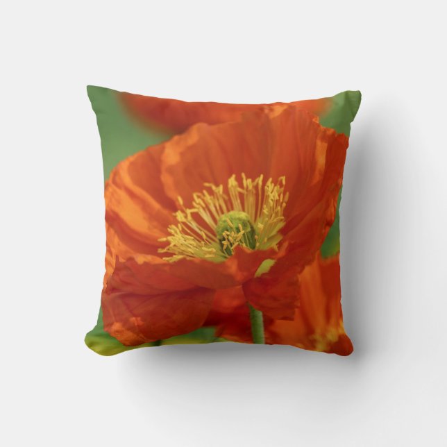 Mooie rode papavery kussen (Voorkant)